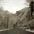 天城路の雪景色（静岡県河津町）
