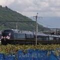 写真: E655系お召し列車