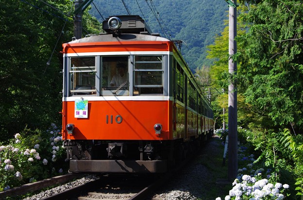 写真: 箱根登山鉄道モハ1形＋モハ2形