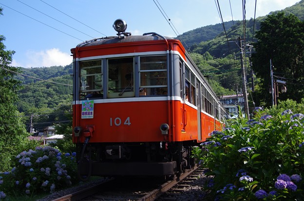写真: 箱根登山鉄道モハ1形＋モハ2形