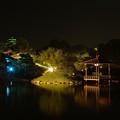 写真: 岡山後楽園の夜景