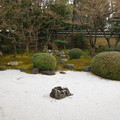 写真: 妙顕寺庭園