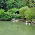 写真: Singapore Botanic Garden