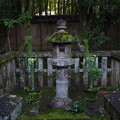 写真: 高桐院庭園