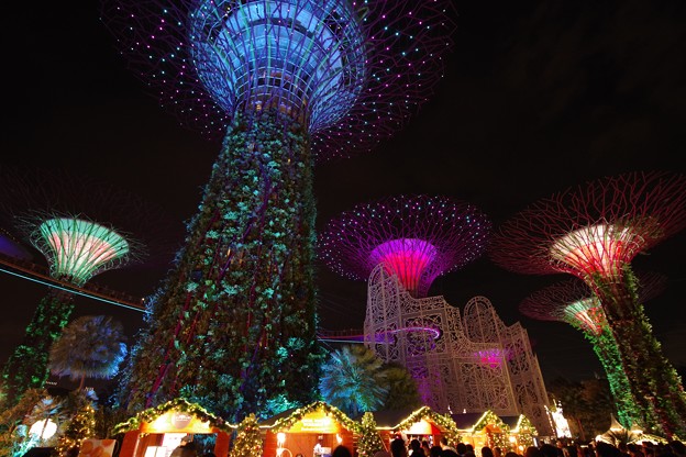 Christmas Wonderland at Gardens by the Bay