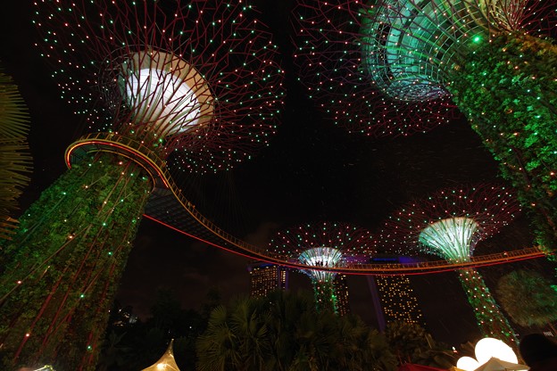 Christmas Wonderland at Gardens by the Bay
