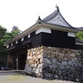 写真: 高知城 Kochi Castle