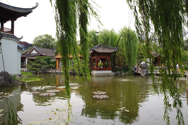 写真: Chinese Garden of Friendship