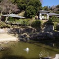 写真: 円覚寺庭園（妙香池）