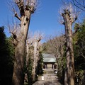 写真: 円覚寺