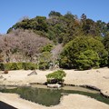 写真: 建長寺庭園