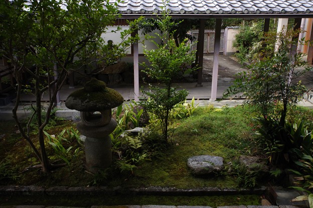 清涼寺庭園
