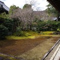 写真: 清涼寺庭園