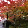 写真: 永観堂庭園