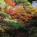 写真: 永観堂庭園