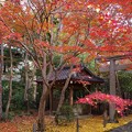 写真: 蓮華寺の紅葉