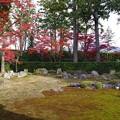写真: 圓通寺庭園