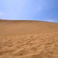 写真: 鳥取大砂漠