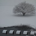 成田雪景色