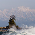 写真: 雨晴海岸　女岩と剱岳
