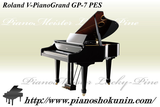 写真: Roland V-PianoGrand GP-7 PES