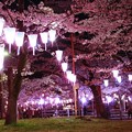 飯能市民会館前 桜祭り