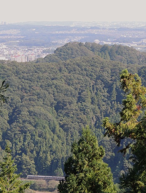 写真: 高尾山からの遠景