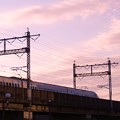 写真: 夕暮れの新幹線