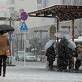写真: 八王子市内雪です