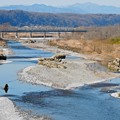 写真: 多摩川を渡る八高線