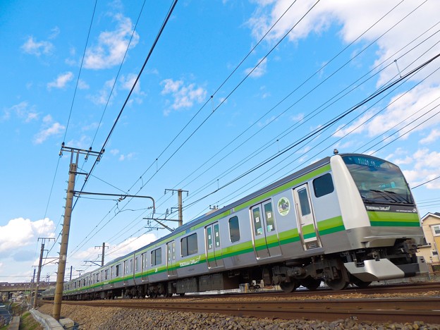 写真: Yokohama Line