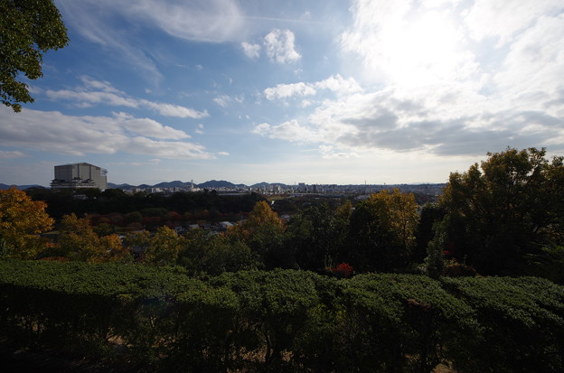 男山配水池公園からの眺め(SIGMA8-16)