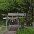写真: 配志和神社・八雲神社