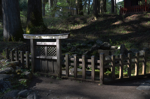 写真: 滝尾神社・酒の泉