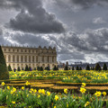 写真: 宮殿の庭園