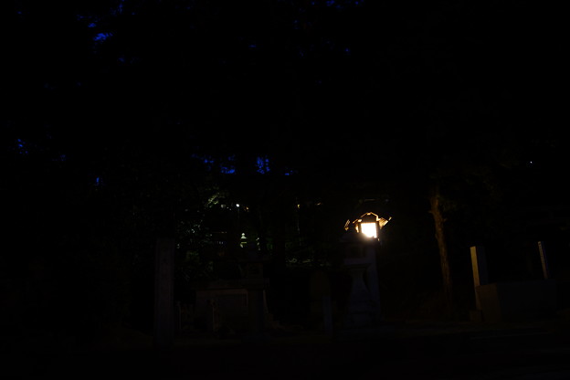 写真: 夜の遠石八幡宮