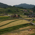 写真: 周南市　中須の棚田　-収穫-