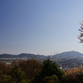 写真: 春爛漫、永源山公園　2014