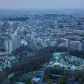 写真: 東山スカイタワーからの眺め