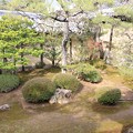 IMG_0446妙心寺・東海庵・東海一連の庭 相の庭