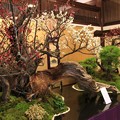 写真: IMG_1044大阪天満宮・大盆梅展・束帯天神像