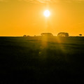 写真: 牧草地の夕景 3