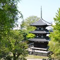 写真: 興福寺三重塔