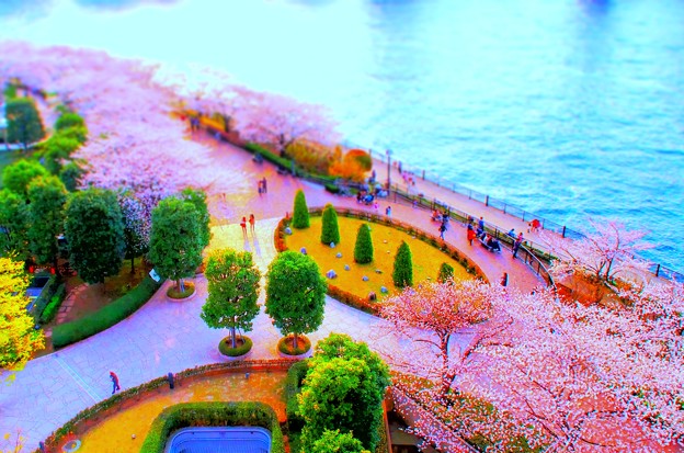 Photos: 隅田川の桜をミニチュア化
