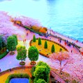 隅田川の桜をミニチュア化