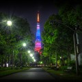 写真: 東京タワー ダイヤモンドヴェール「七彩の光色」