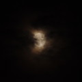 写真: 月夜