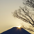 ダイヤモンド富士〜高尾山より望む