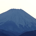 富士山〜高尾山より望む