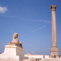 写真: アレキサンドリア　ポンペイの柱